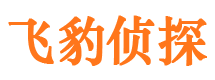 伊春市调查公司